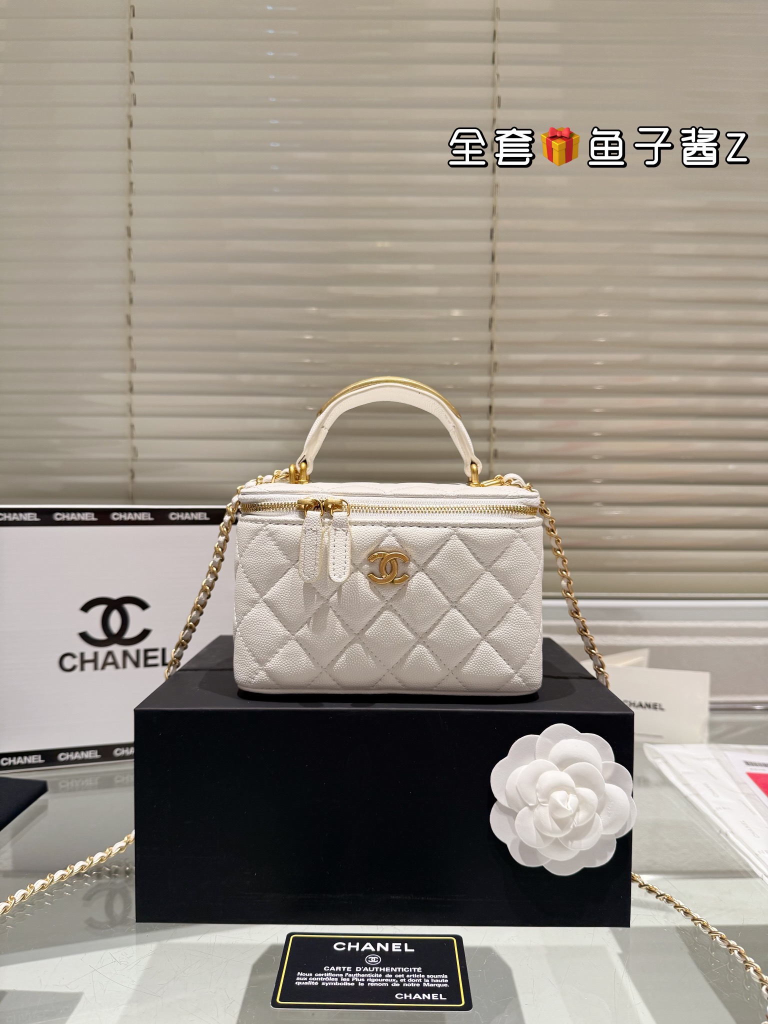 Chanel Cosmetic box bag