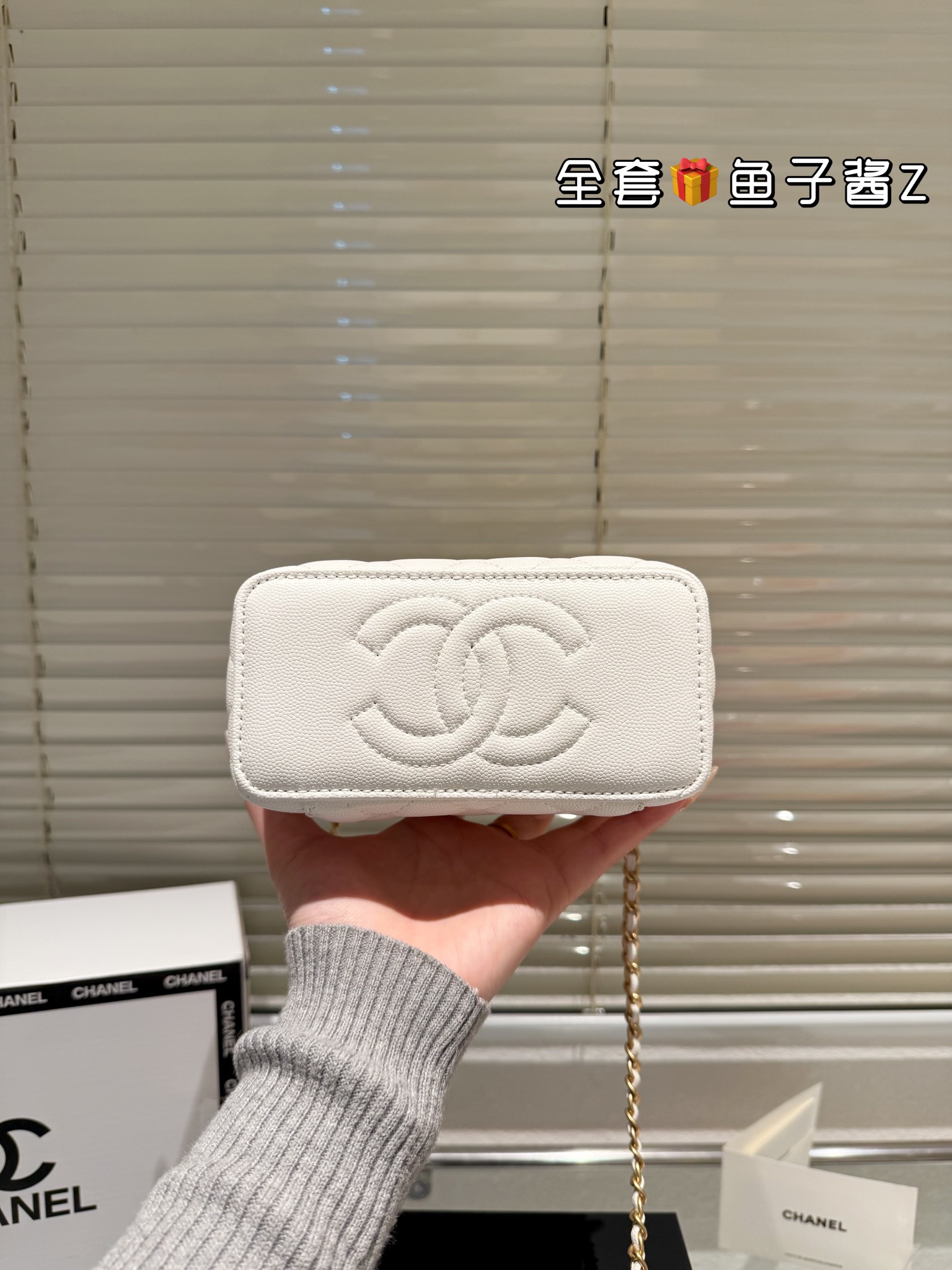 Chanel Cosmetic box bag