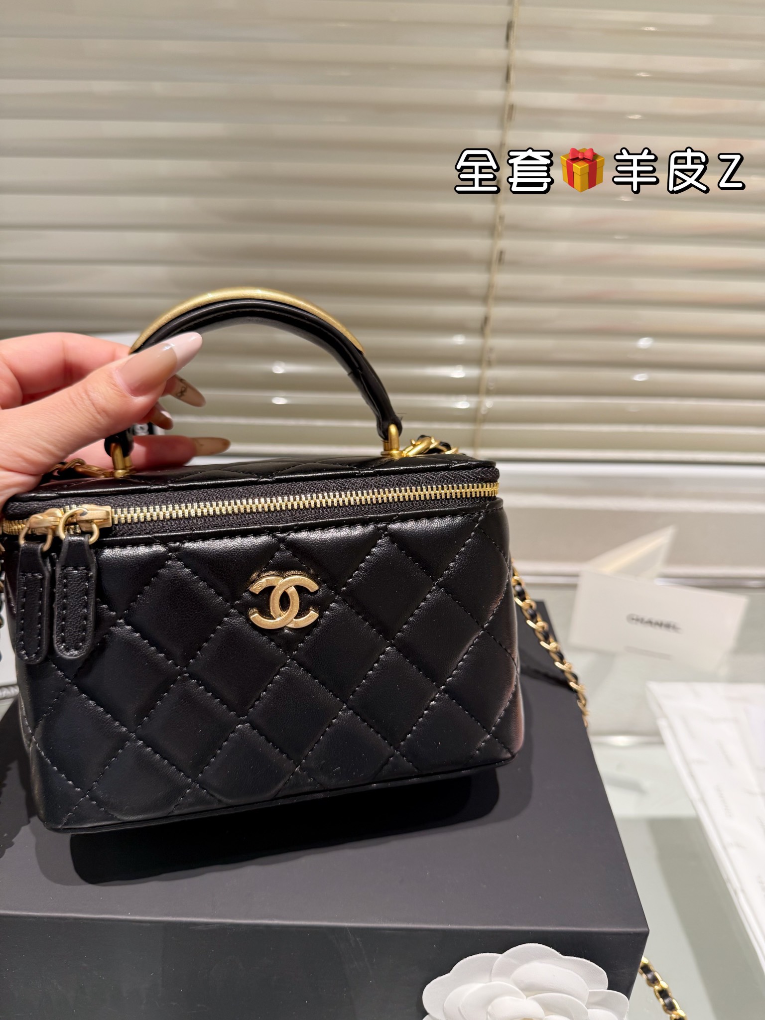 Chanel Cosmetic box bag