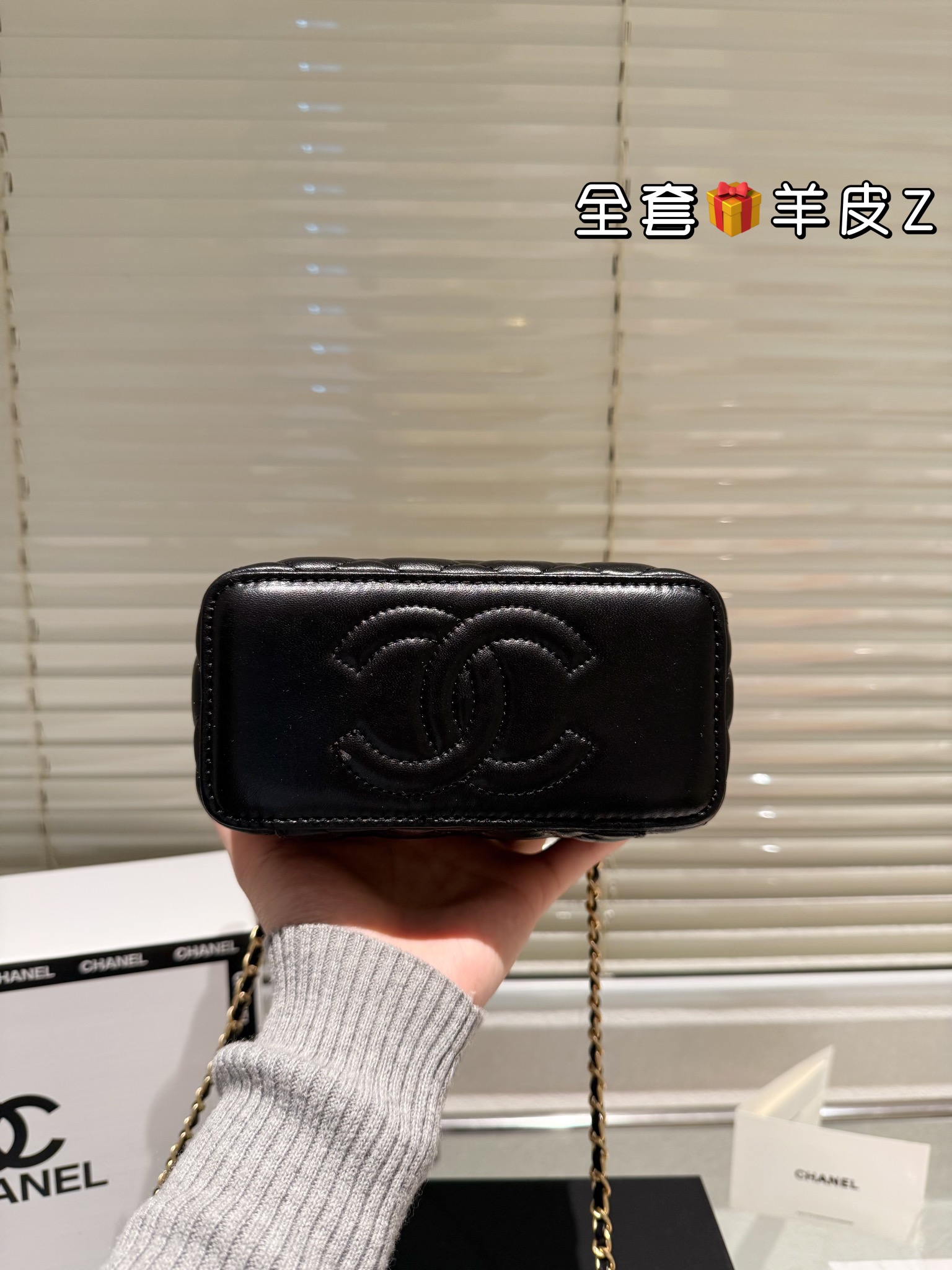 Chanel Cosmetic box bag