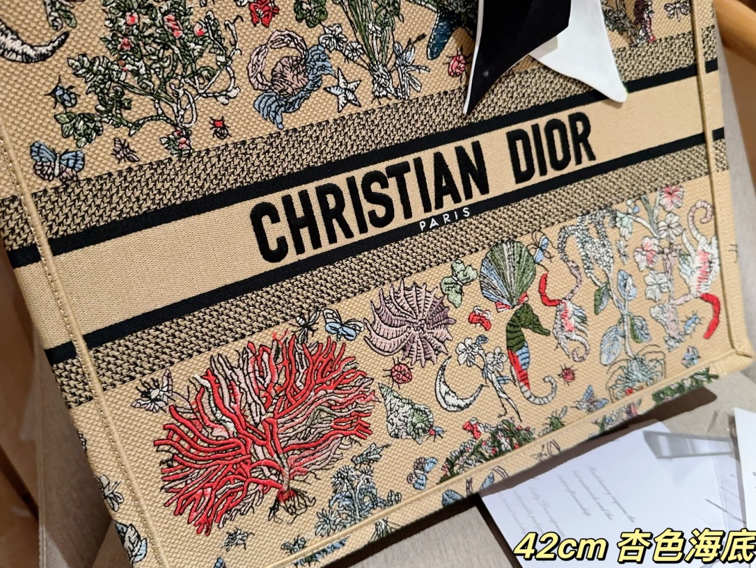 Dior Large Book tote embroidery bag