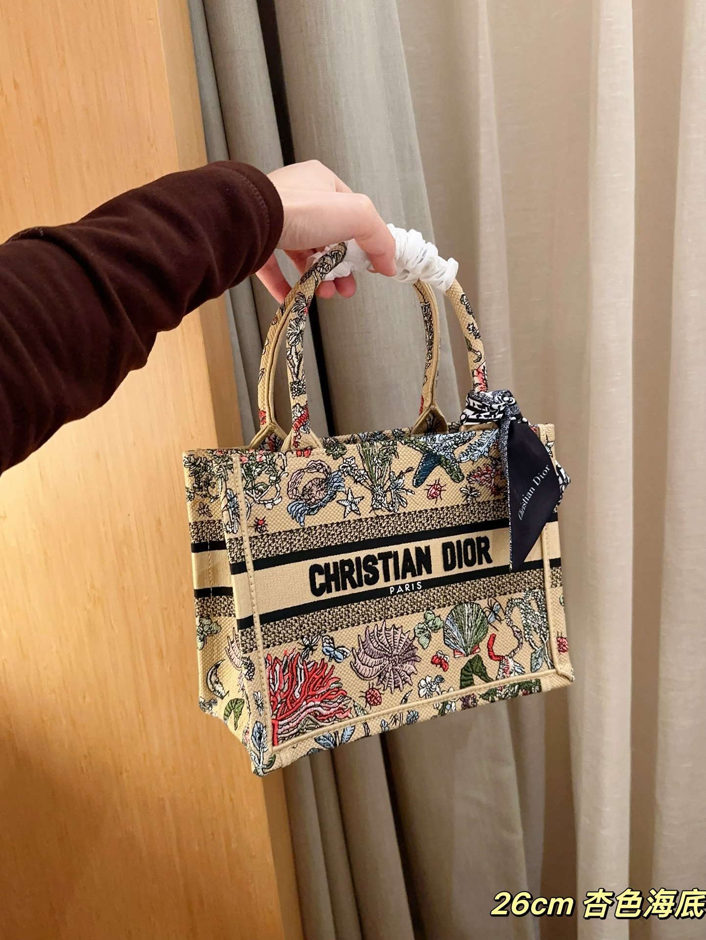 Dior Small Book tote embroidery bag